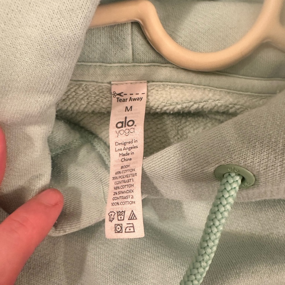 ✨ALO Yoga Cropped Hoodie in Mint - Picture 5 of 5